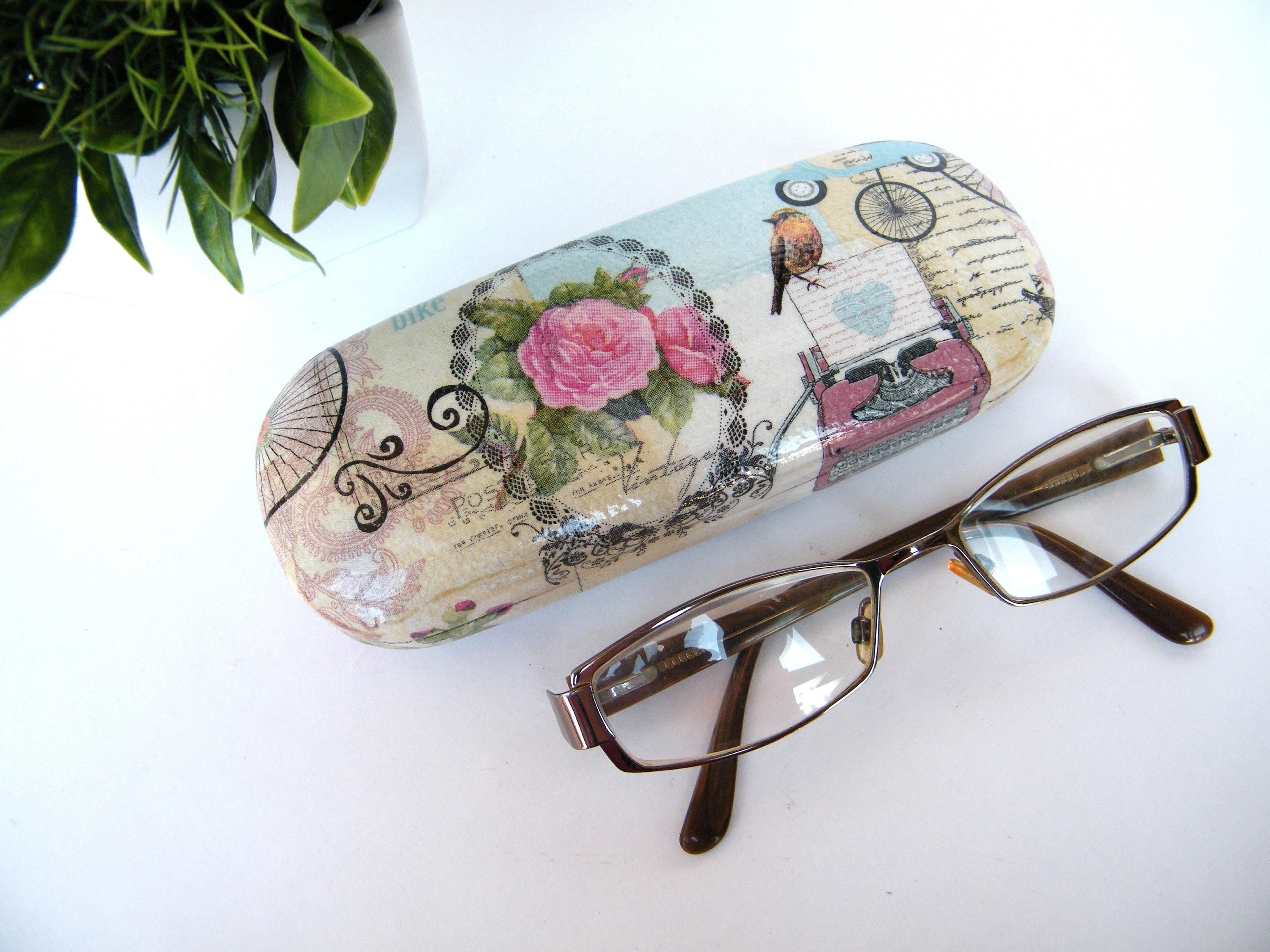 Vintage Hard Glasses Case: Bird Robin & Rose Shabby Chic Eyeglasses Protector