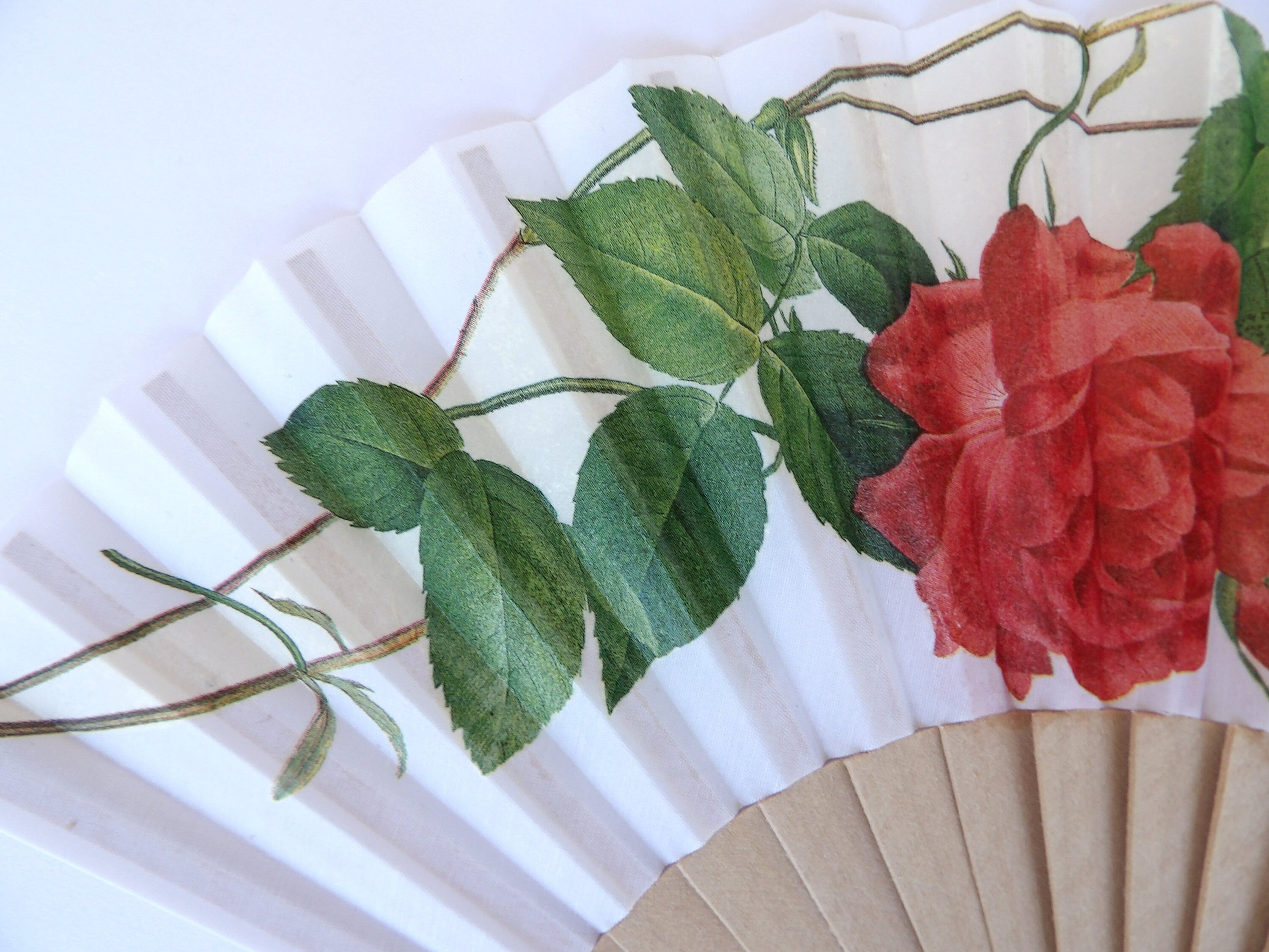 Elegant Hand Fan, Red Roses holding fan, japanese fan, party accessory, wedding flavor, contemporary fan, floral pattern complement,