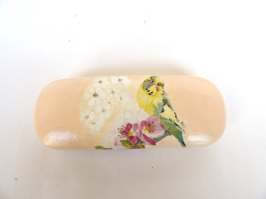 Eyeglass Case with Parrots, Hard Glasses Case, Storage Box, Spectacle Case with Budgies, Shabby Chic Case, Reading Accessory, Gift for Mom