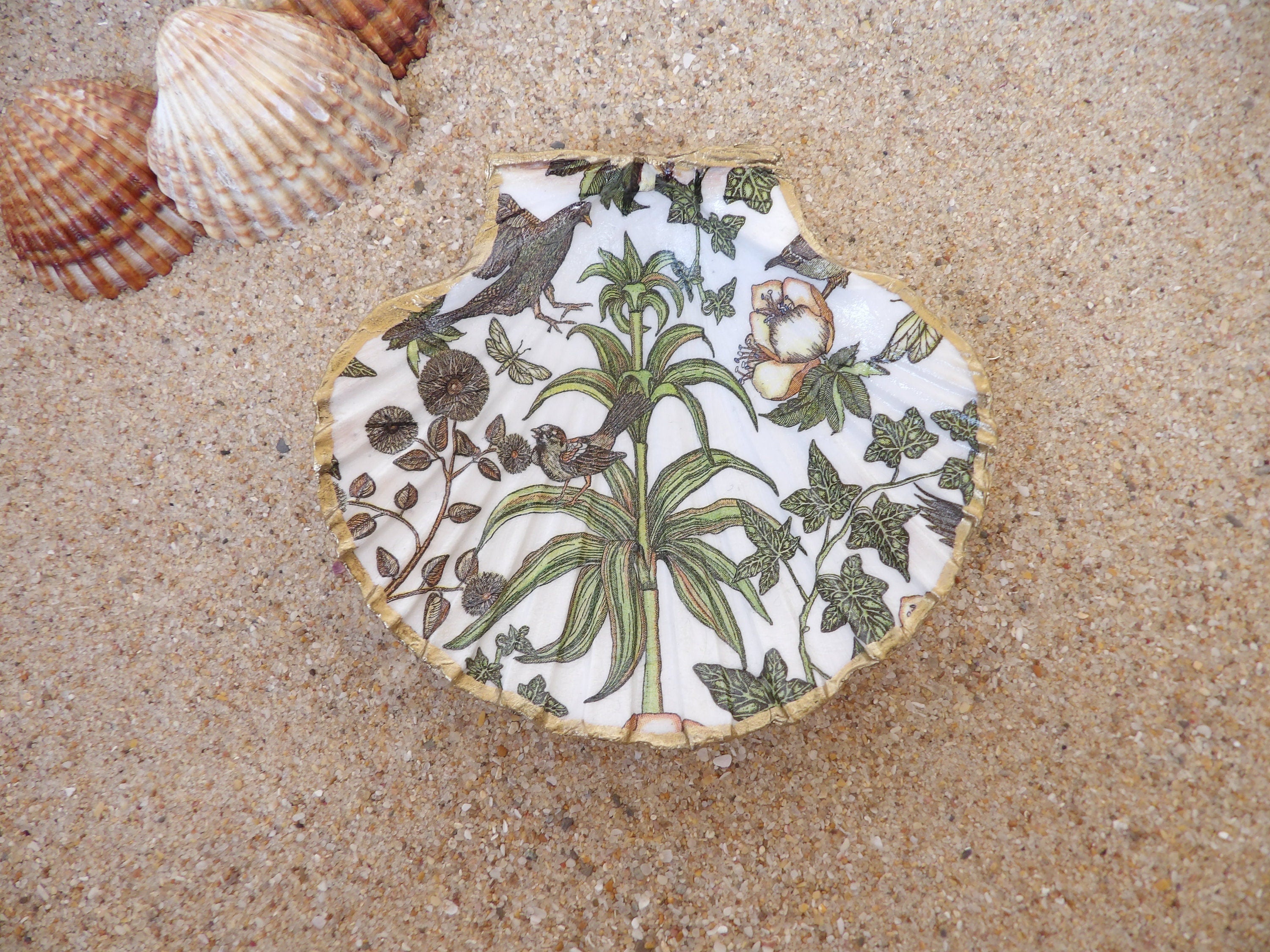 Scallop shell ring dish, soap dish, jewelry dish, large  shells dish, floral trinket dish, candy dish, bathroom decor with birds, botainical