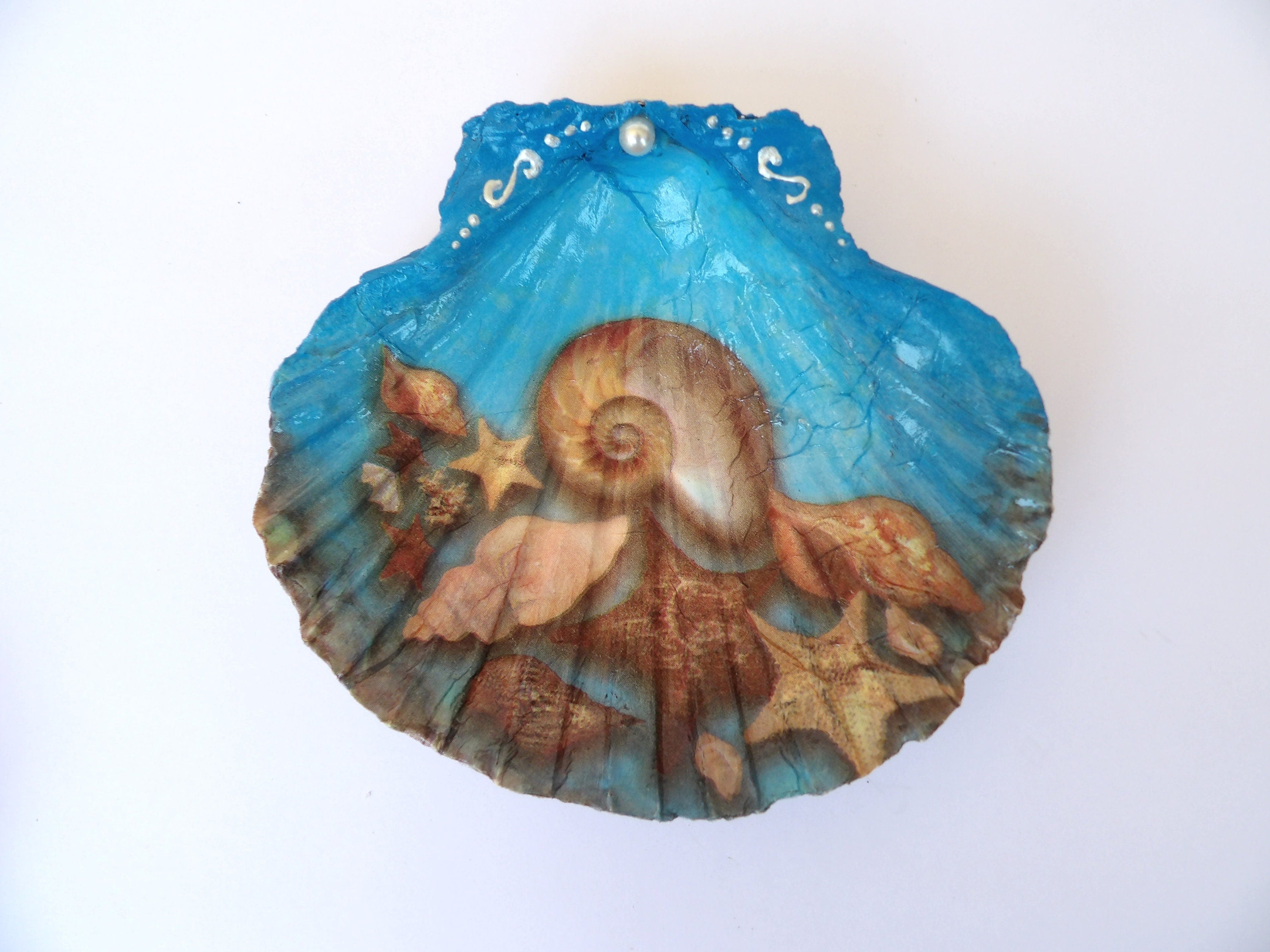 Scallop shell ring dish, soap dish, jewelry dish, large shells dish, mediterranean trinket dish, candy dish, bathroom decor with shells