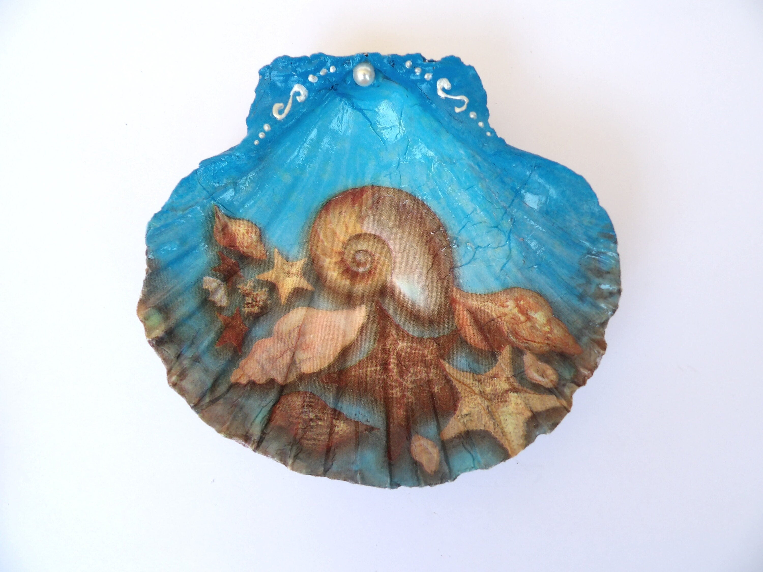 Scallop shell ring dish, soap dish, jewelry dish, large shells dish, mediterranean trinket dish, candy dish, bathroom decor with shells