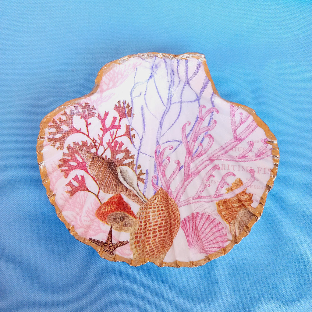 Scallop shell ring dish, soap dish, jewelry dish, large shells dish, mediterranean trinket dish, candy dish, bathroom decor with shells