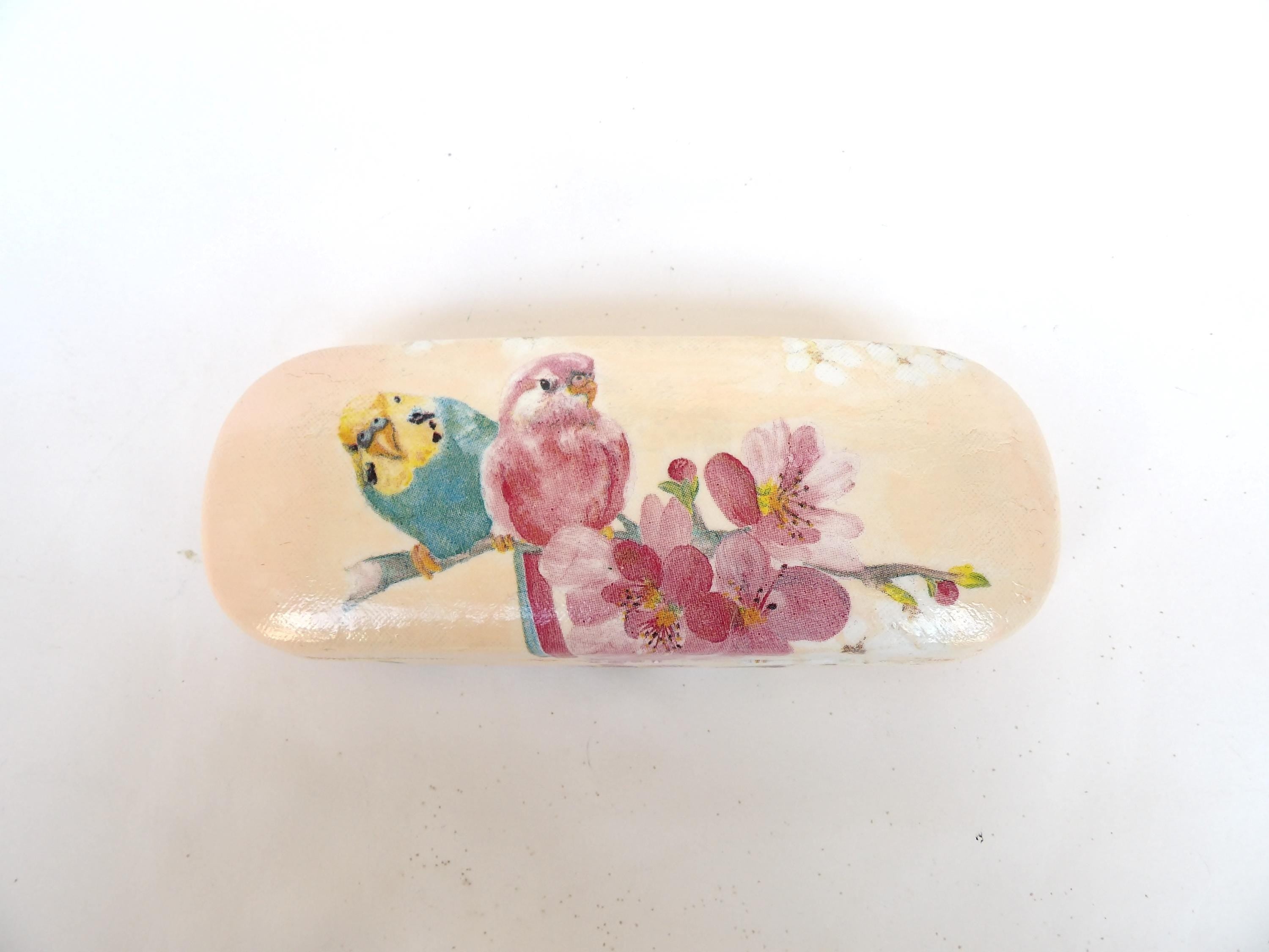 Eyeglass Case with Parrots, Hard Glasses Case, Storage Box, Spectacle Case with Budgies, Shabby Chic Case, Reading Accessory, Gift for Mom